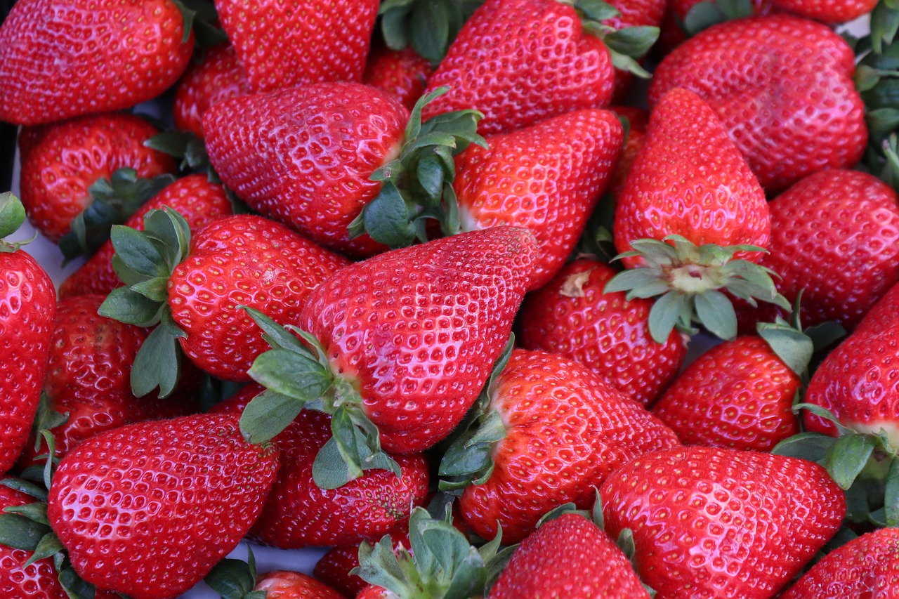 strawberries  fruit  fruits free photo