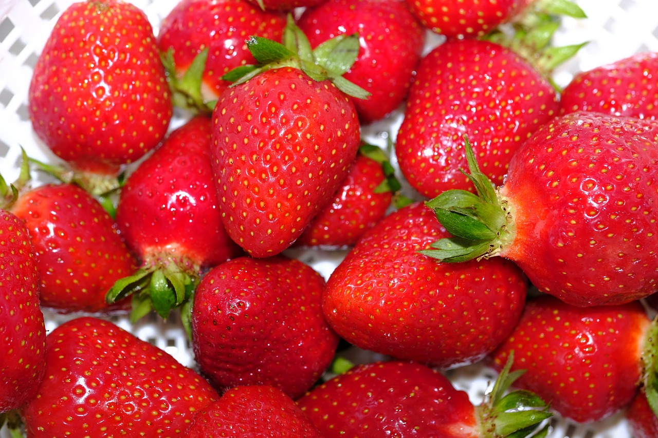 strawberries  berries  fruit free photo