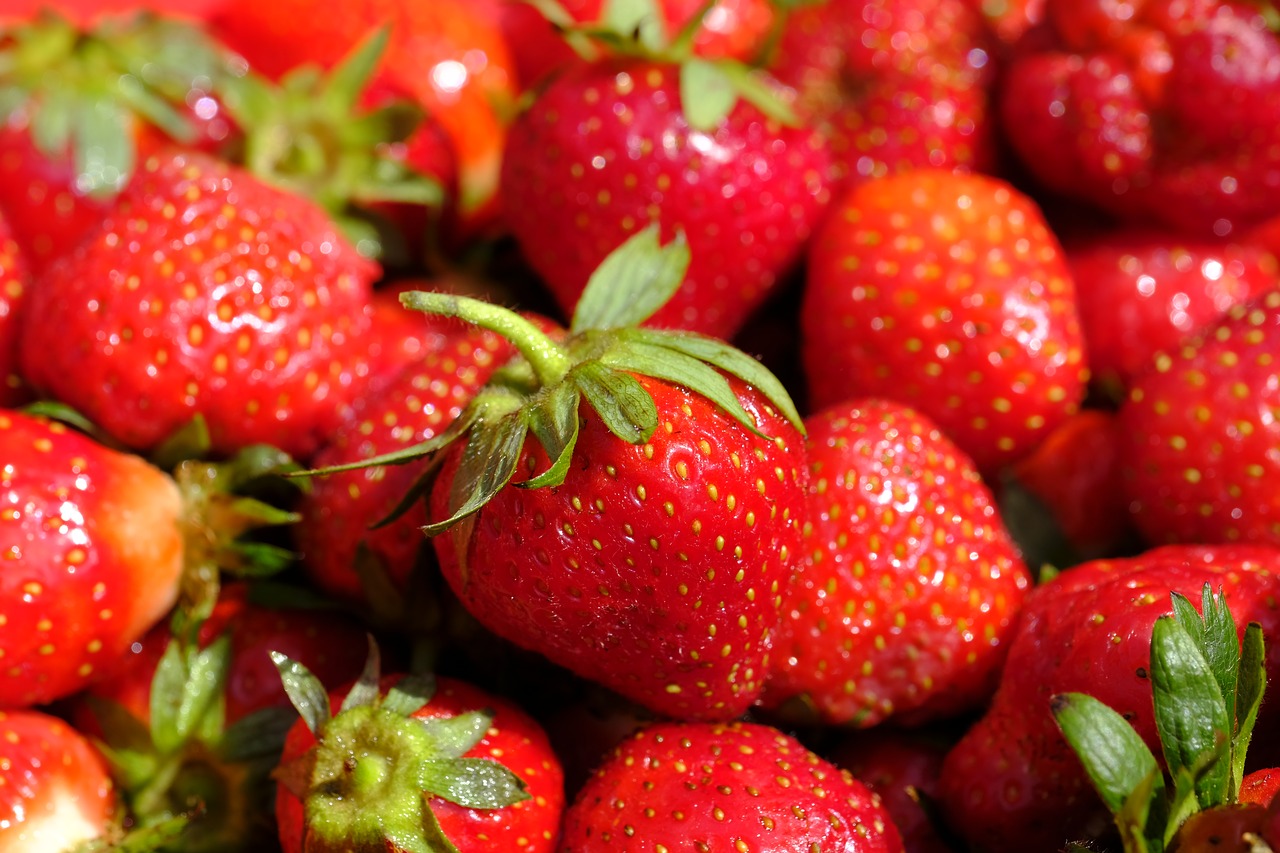 strawberries  berries  fruit free photo