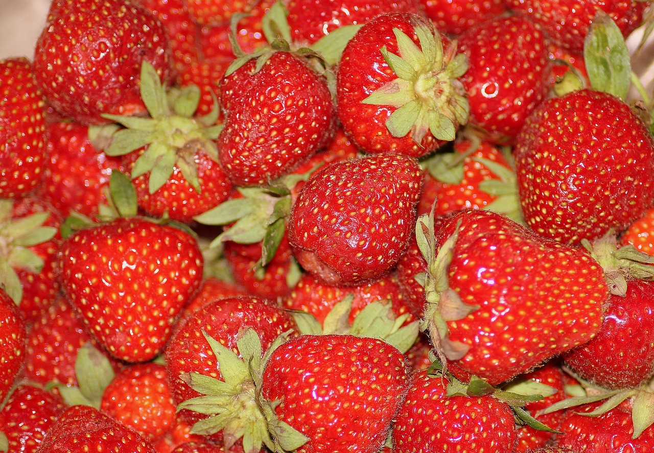strawberries  a collection of  fruit free photo