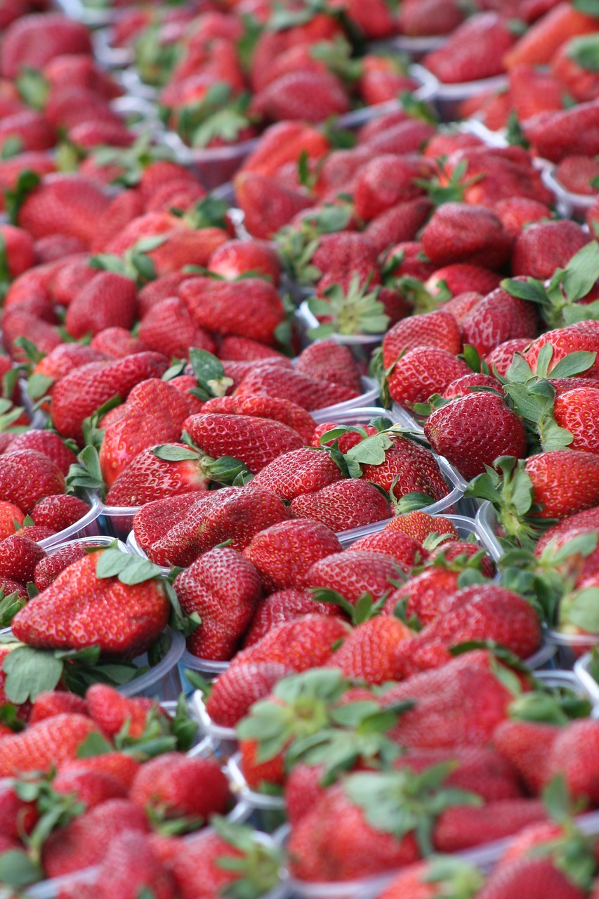 strawberries  market  summer free photo