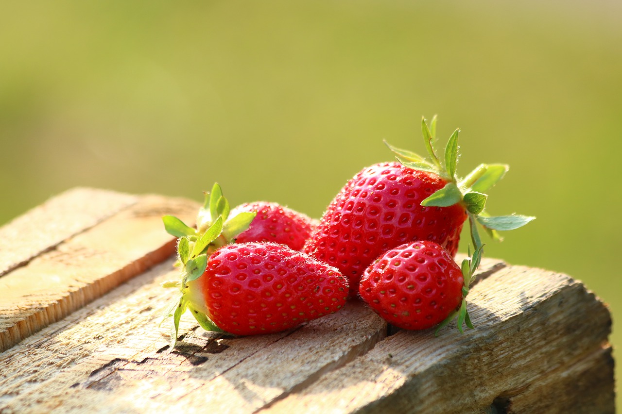 strawberries  fruit  mature free photo