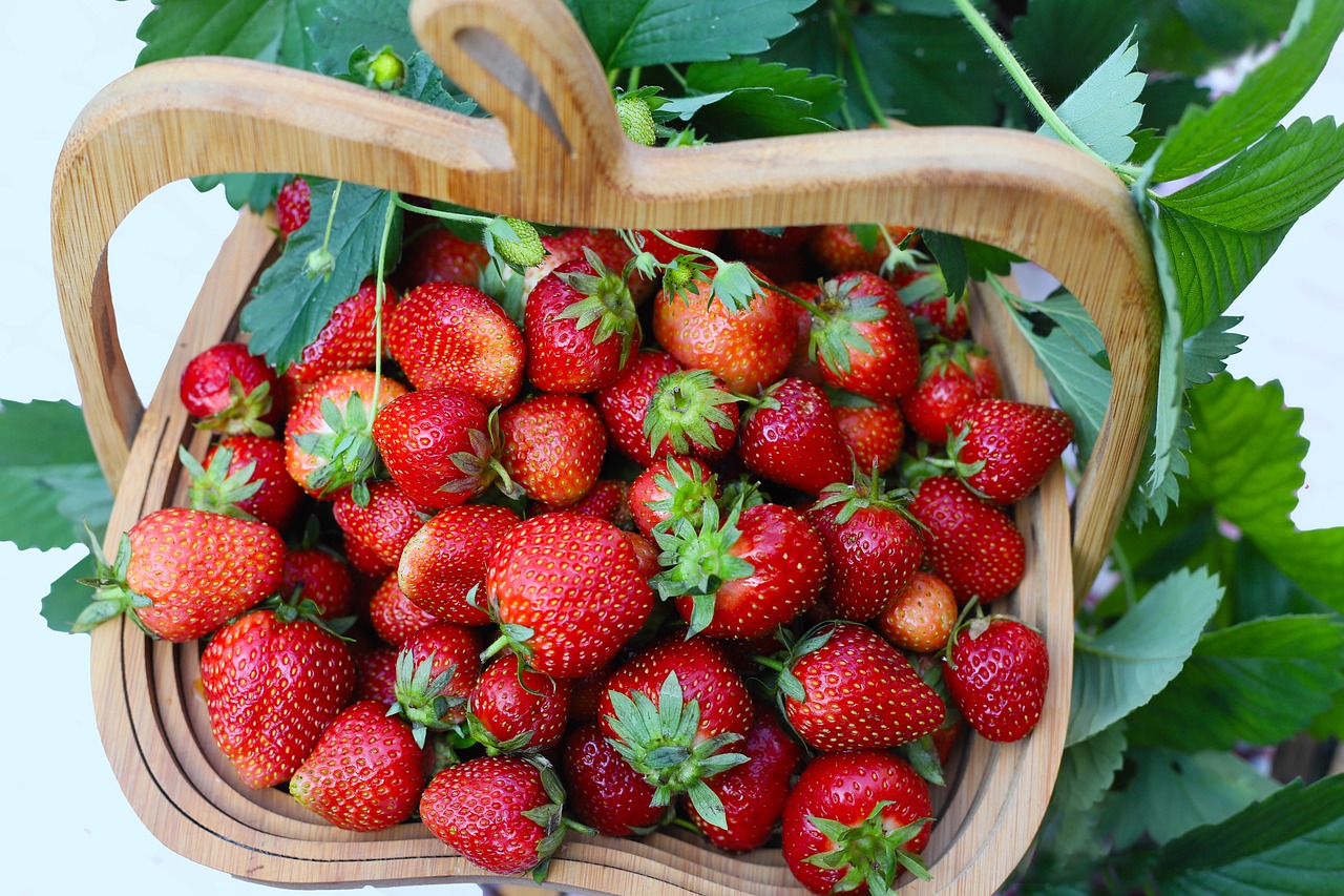 strawberries  basket  fruits free photo