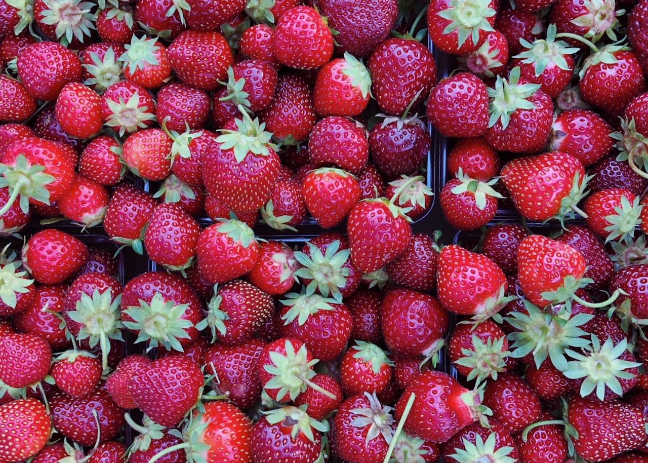 strawberries  fruit  red free photo