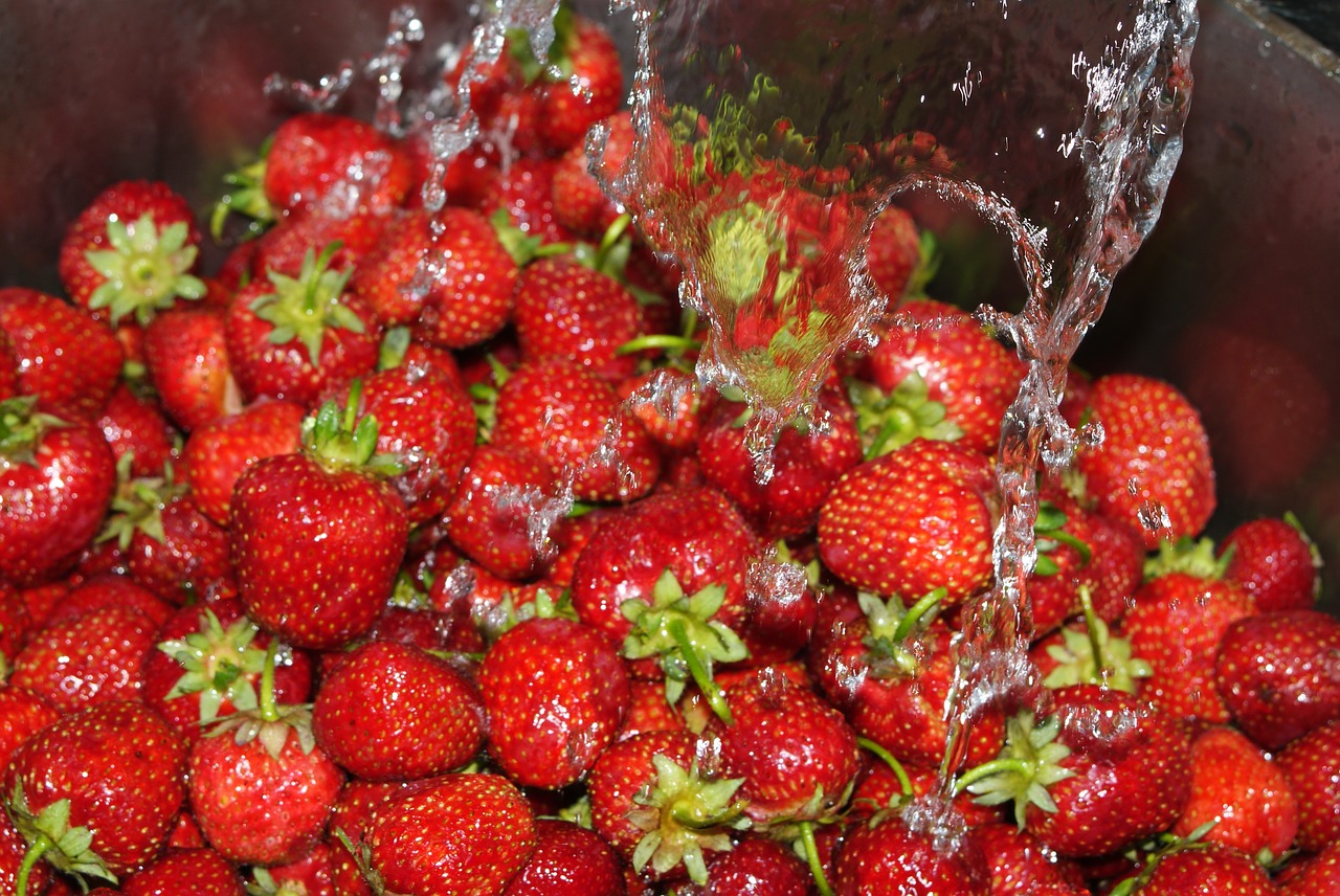 strawberries  water  strawberry free photo