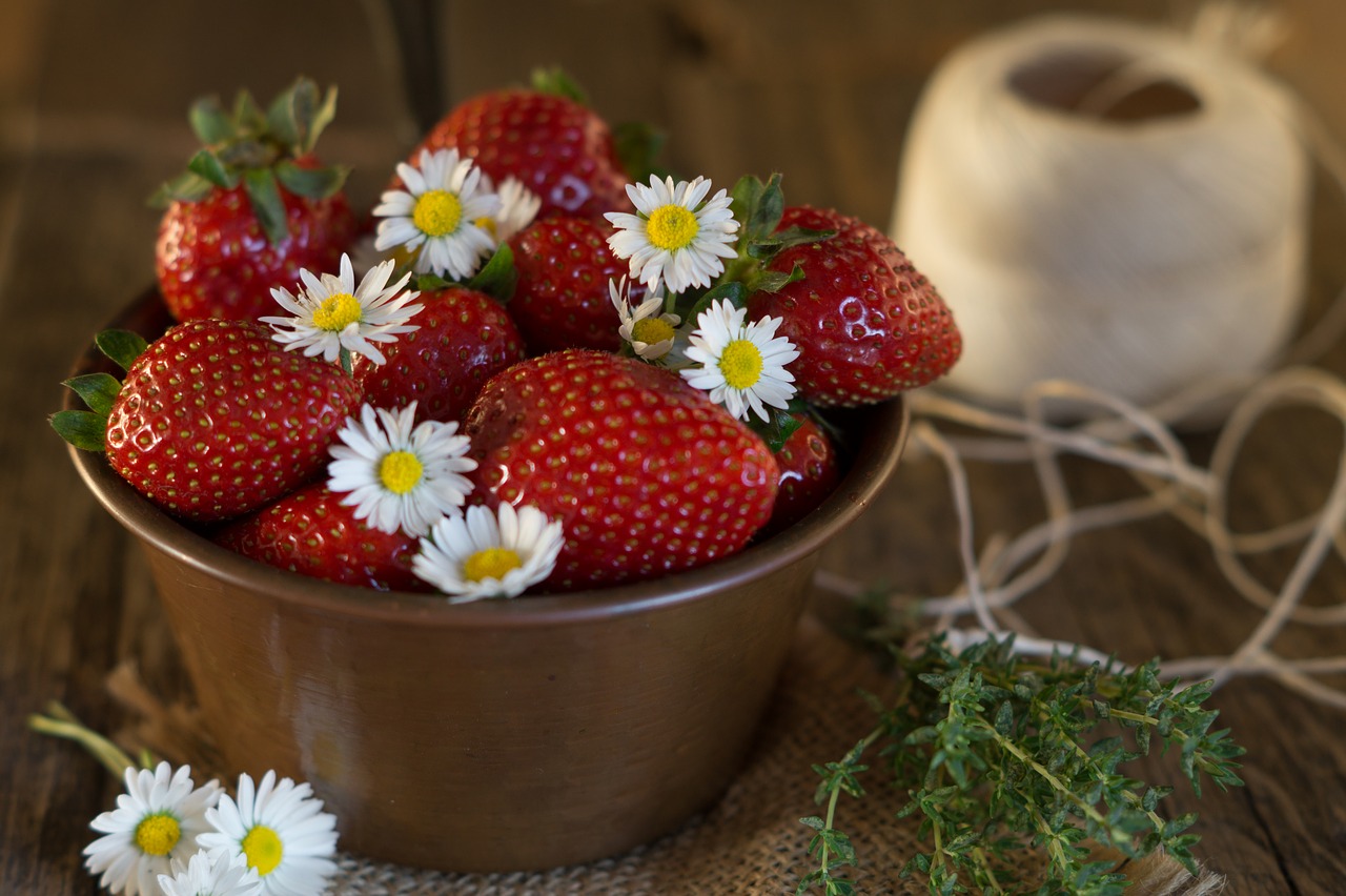 strawberries  daisies  bellis perennis free photo