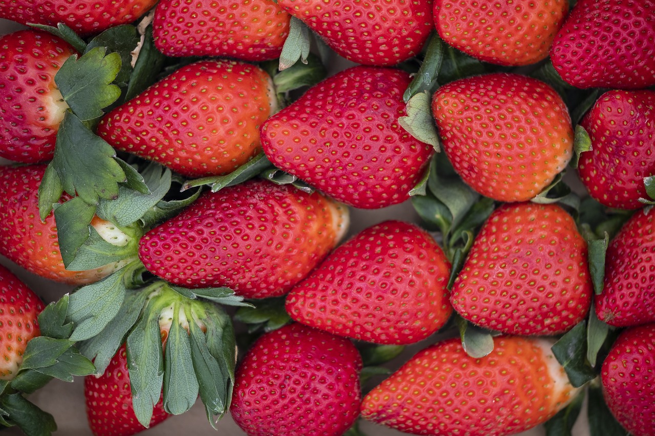 strawberries  fruits  fruit free photo