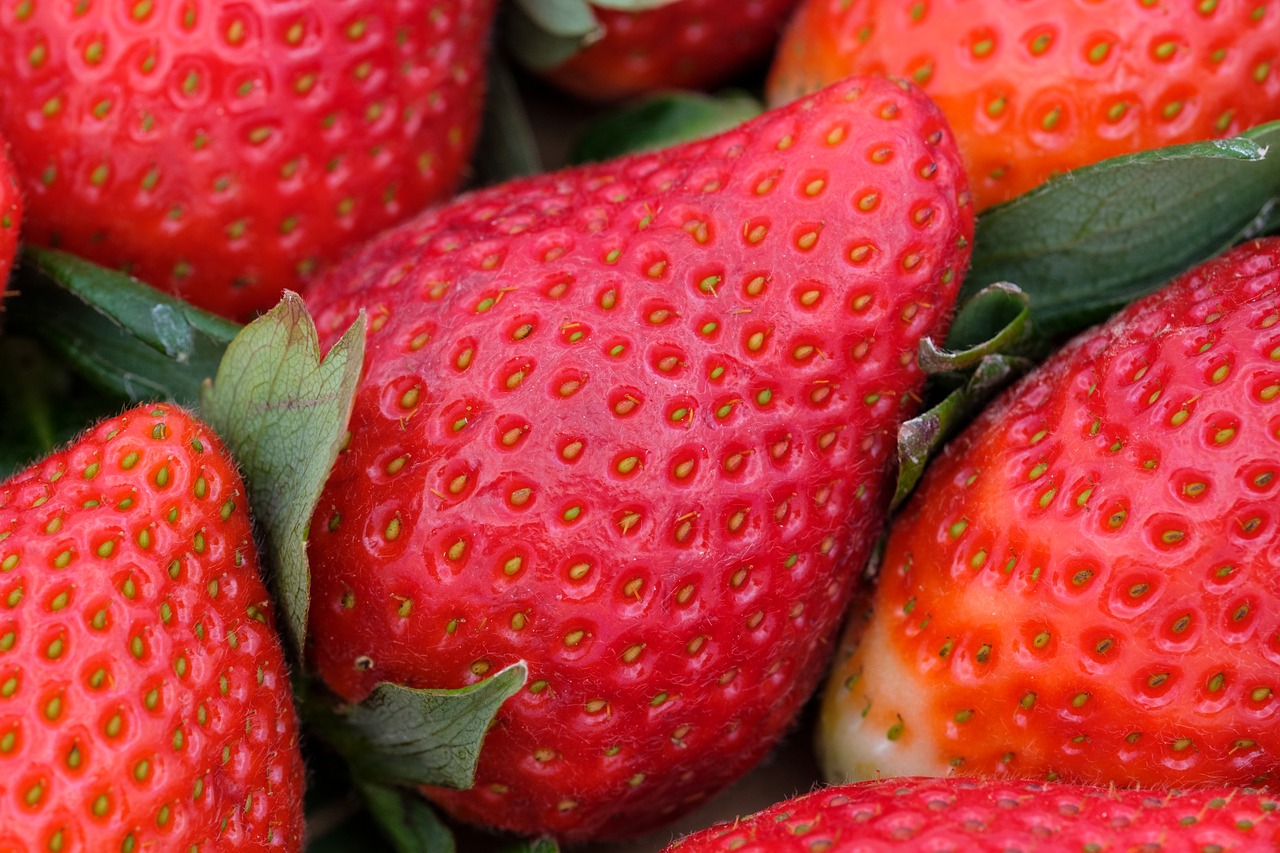 strawberries  fruits  fruit free photo