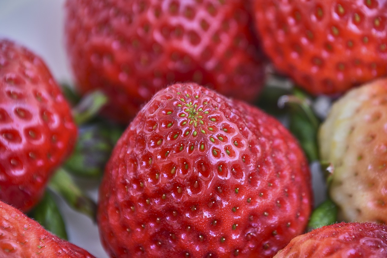 strawberries  fresón  red free photo