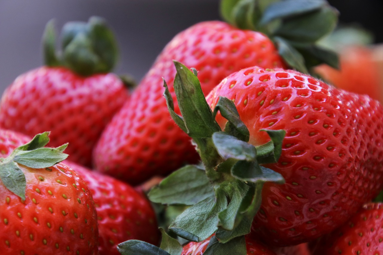 strawberries  bio  healthy free photo