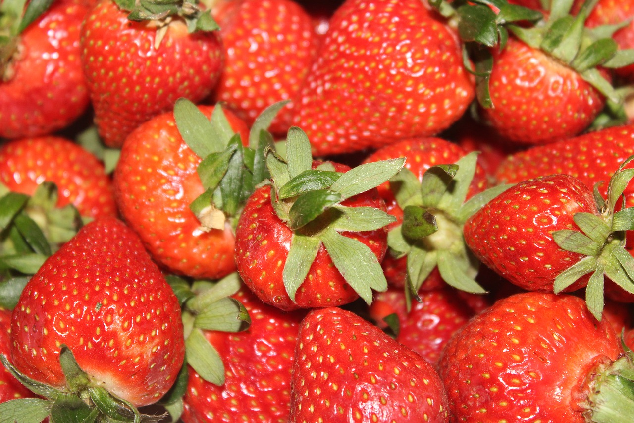 strawberries  fruit  red free photo