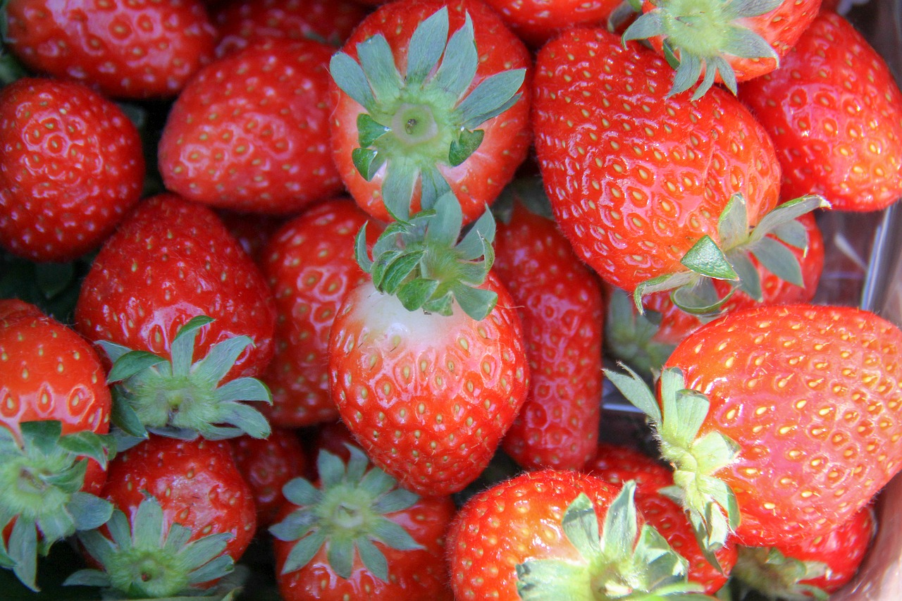 strawberries  red  fruit free photo