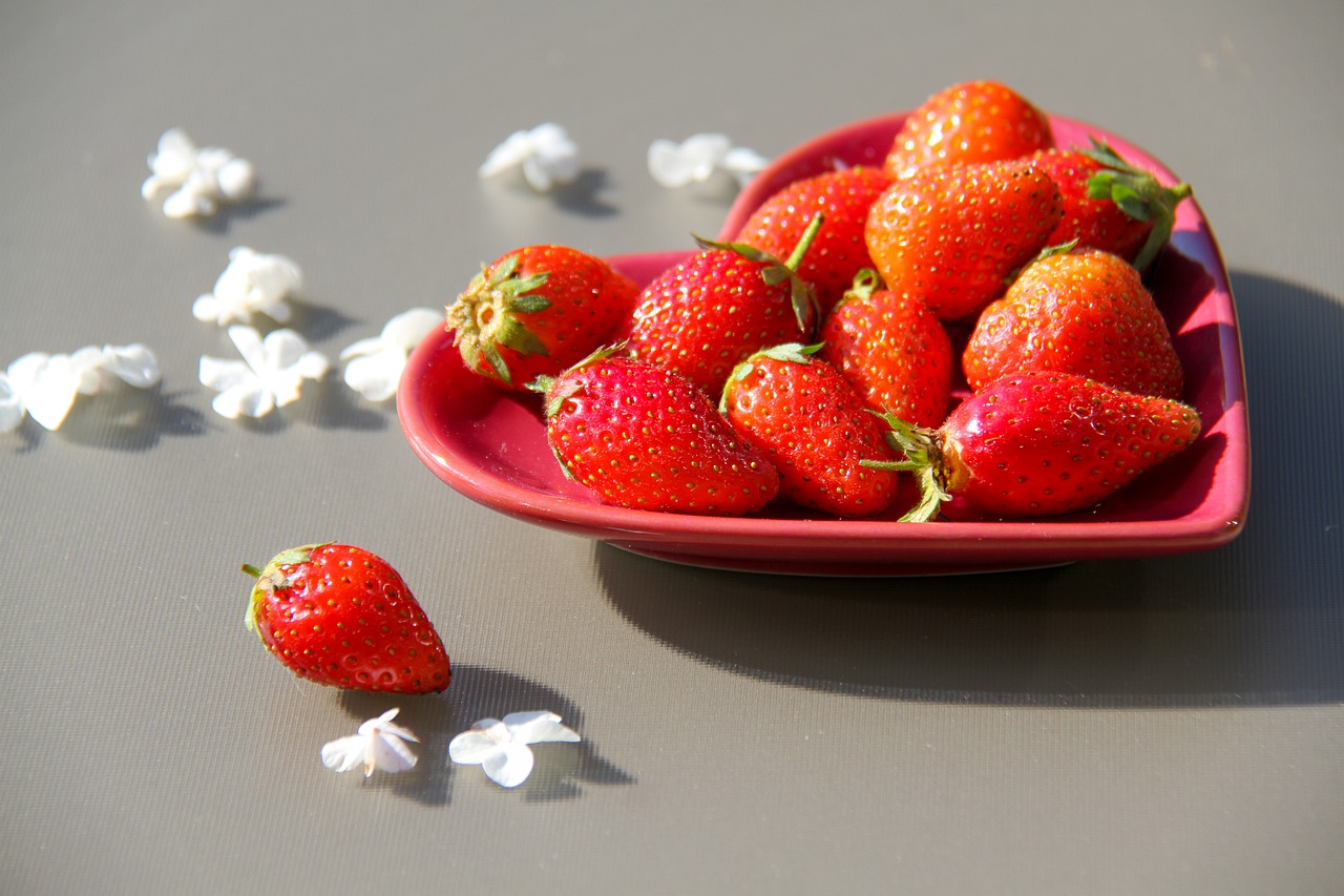 strawberries  saucer  sun free photo