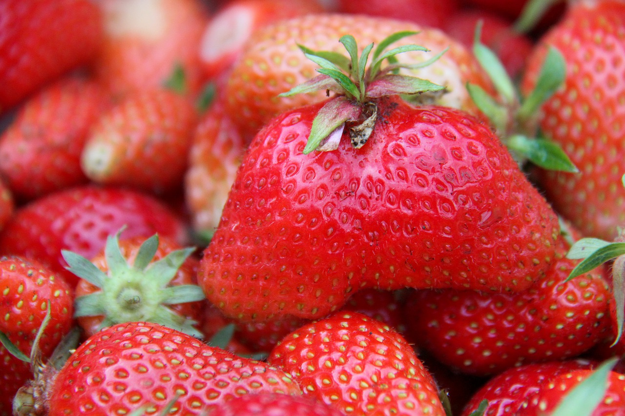 strawberries  harvest  garden free photo