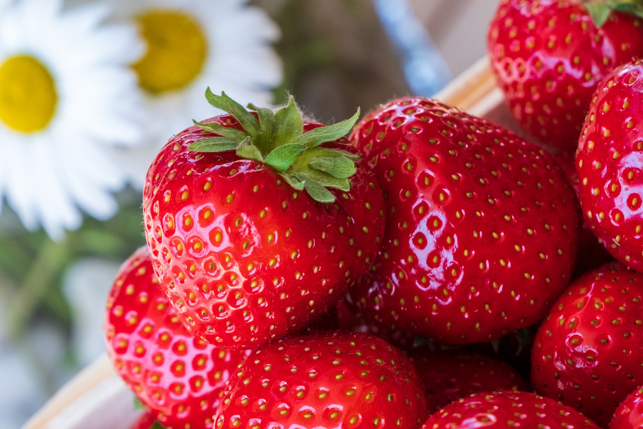 strawberries  red  fruit free photo