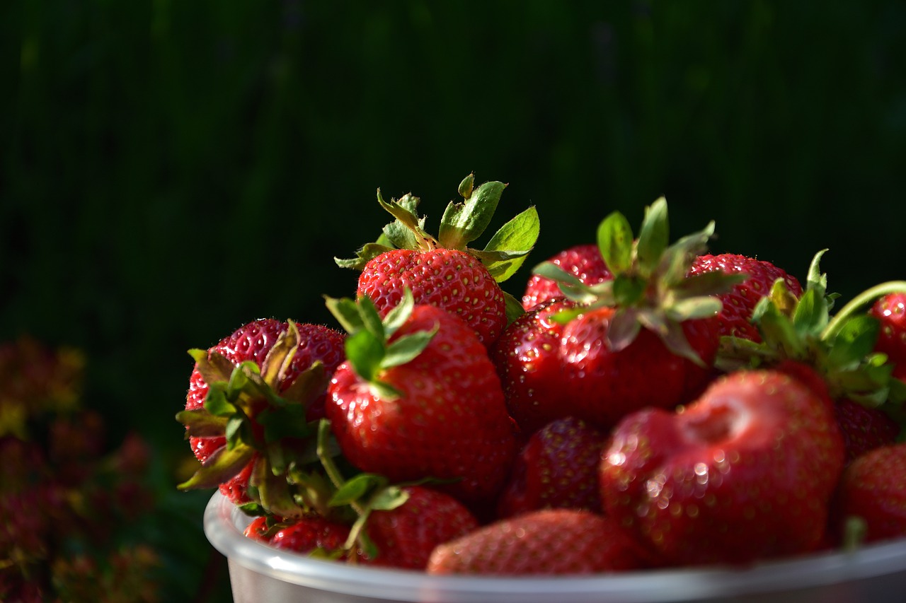 strawberries  bowl  fruit free photo