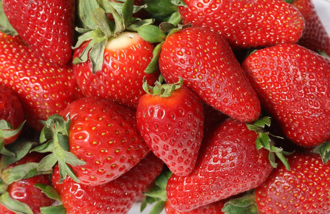 strawberries fruit mature free photo