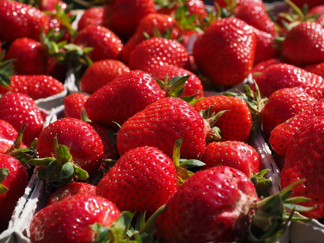 strawberries red fruity free photo