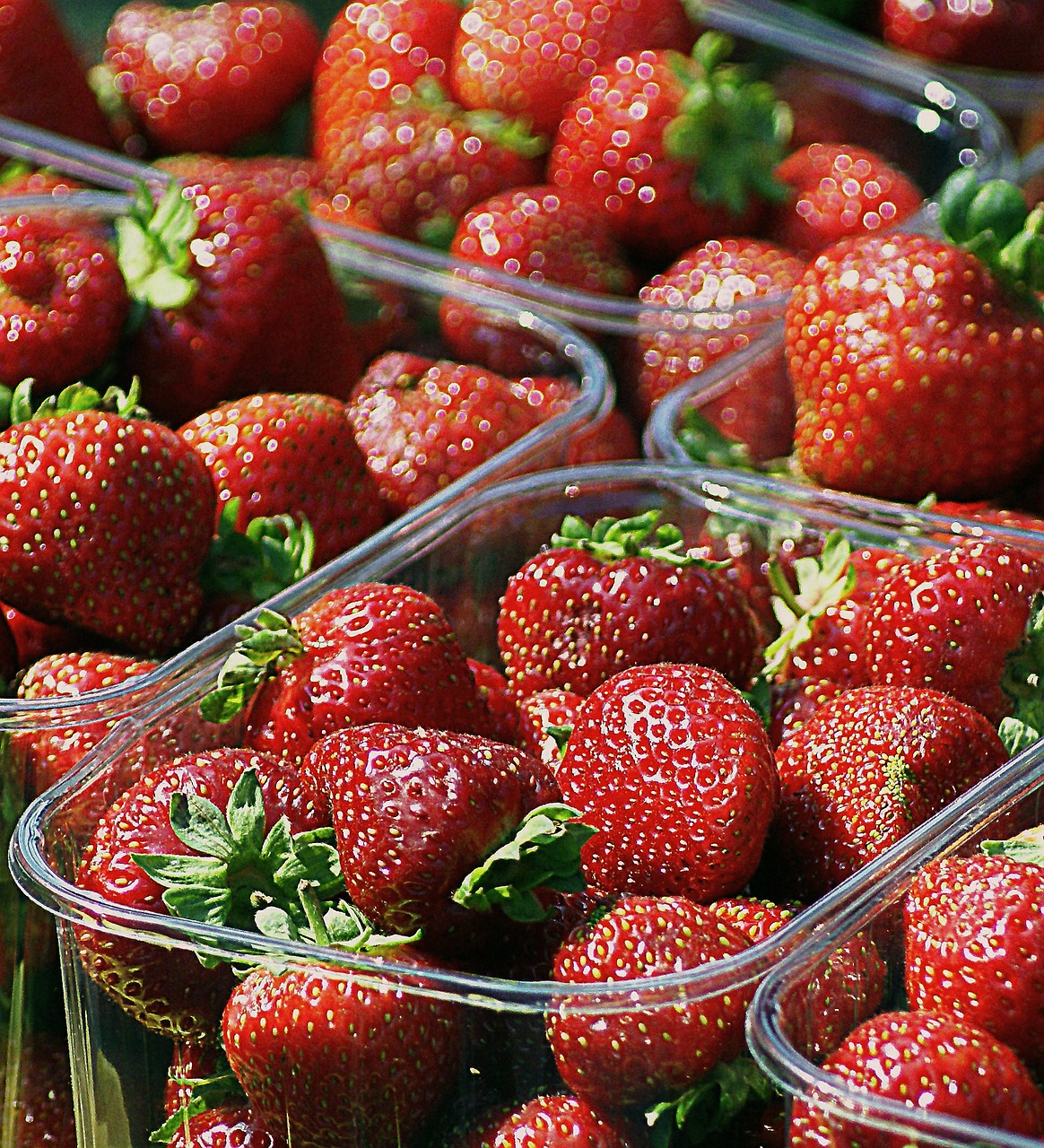 strawberries fruit dessert free photo