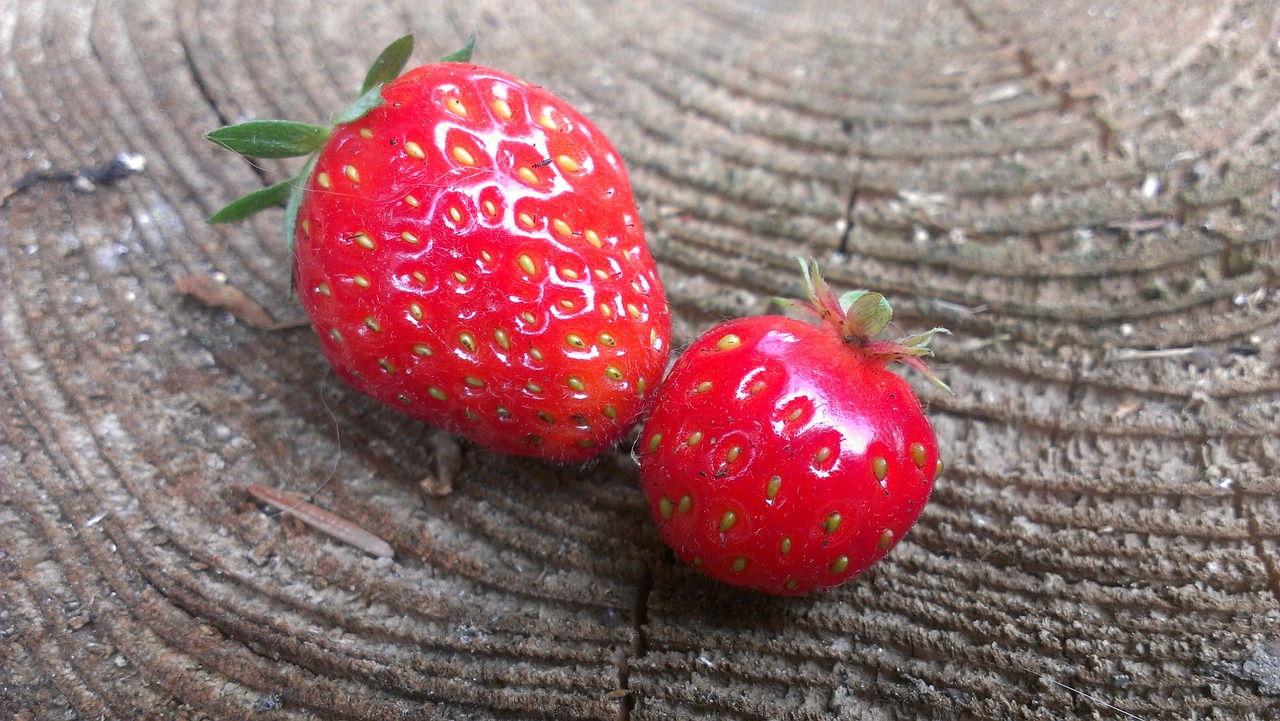 strawberries fruit sweet free photo