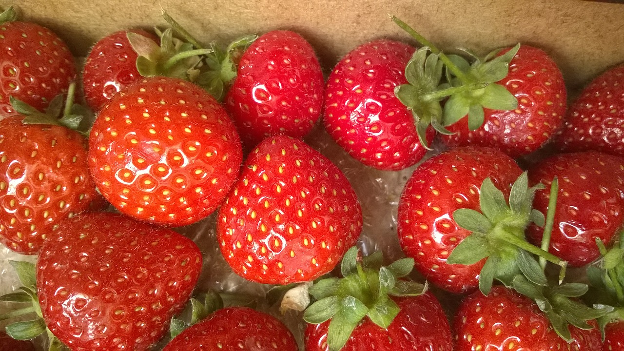 strawberries fruit red free photo