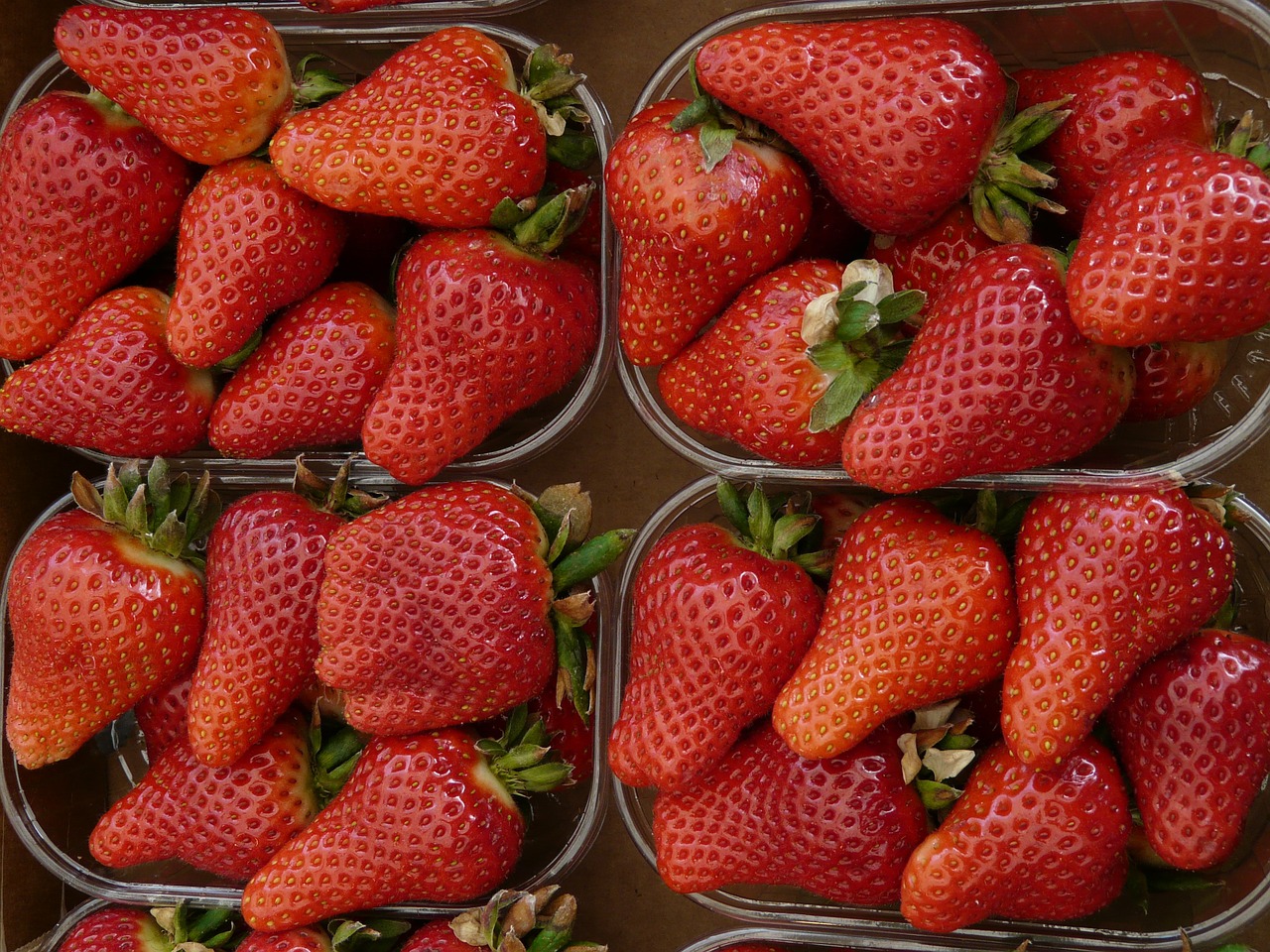 strawberries strawberry berry free photo