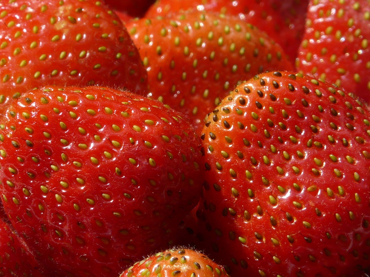 strawberries fruity red free photo