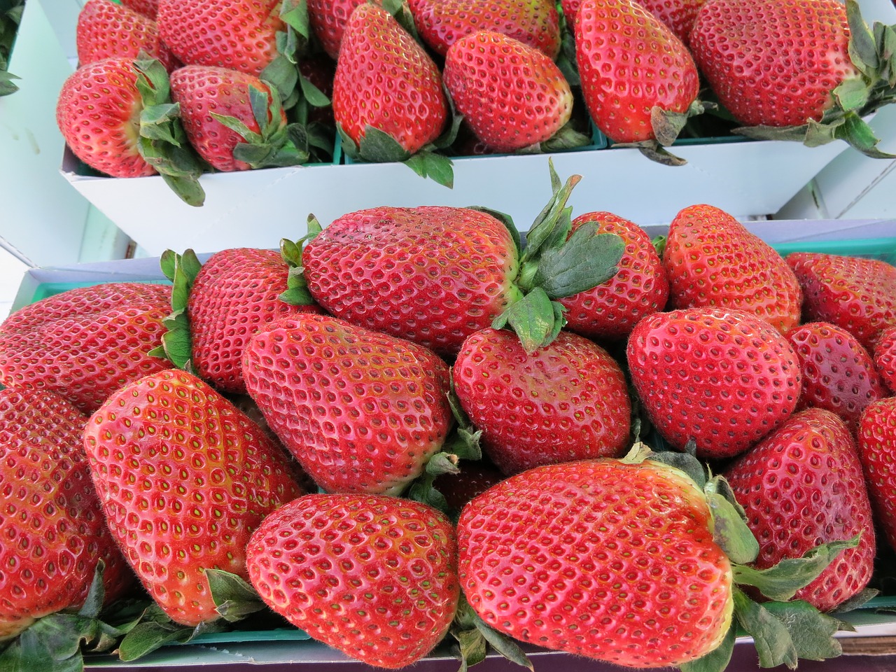 strawberries fruit red free photo