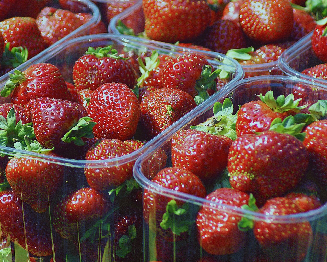 strawberries fruit eating free photo