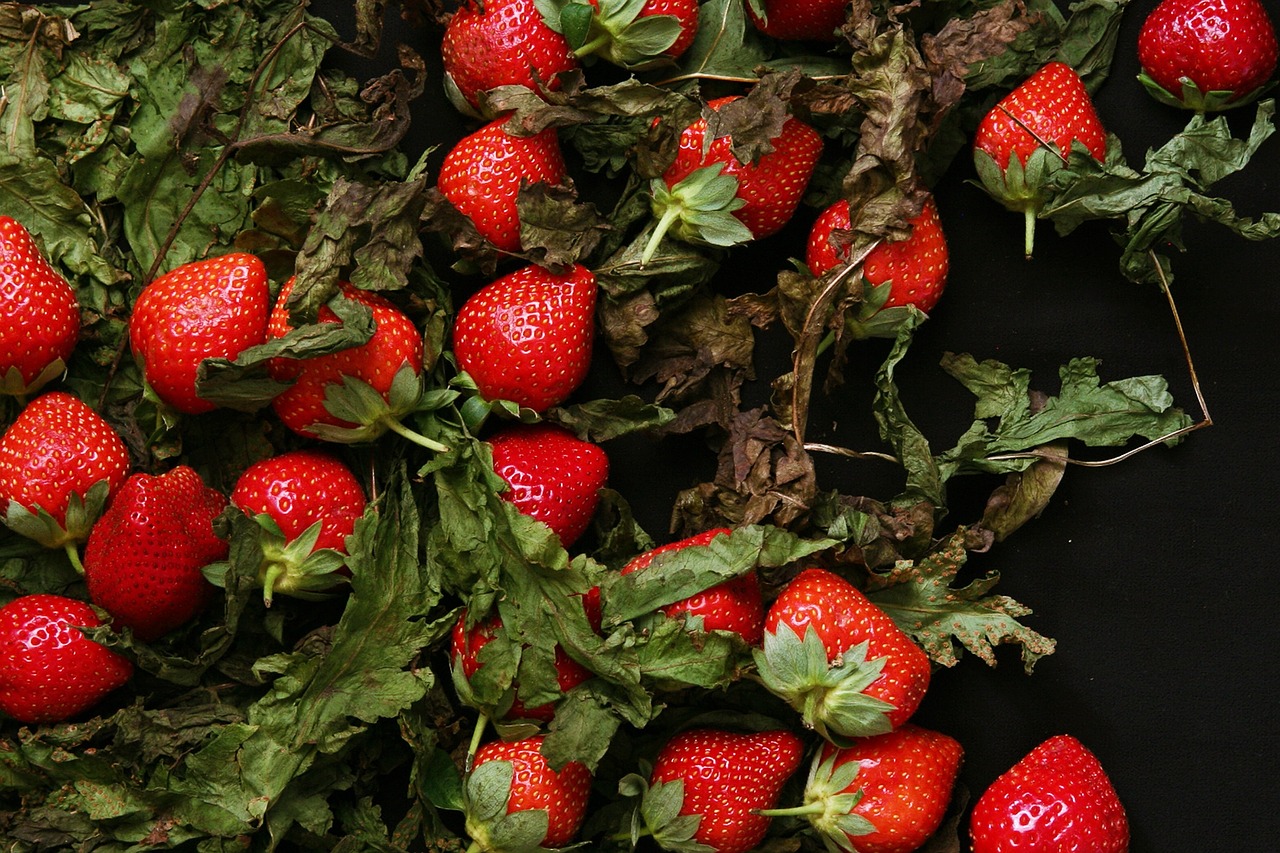 strawberries strawberry fruits free photo