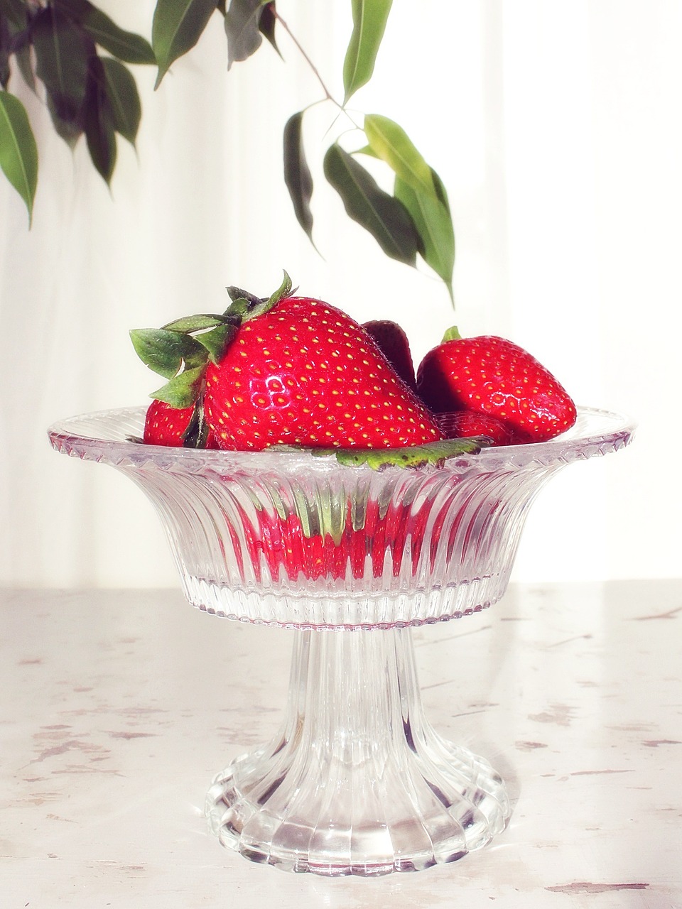 strawberries fruit fruity free photo