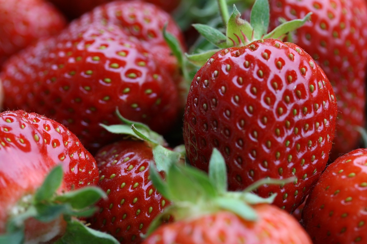 strawberries fruit eat free photo