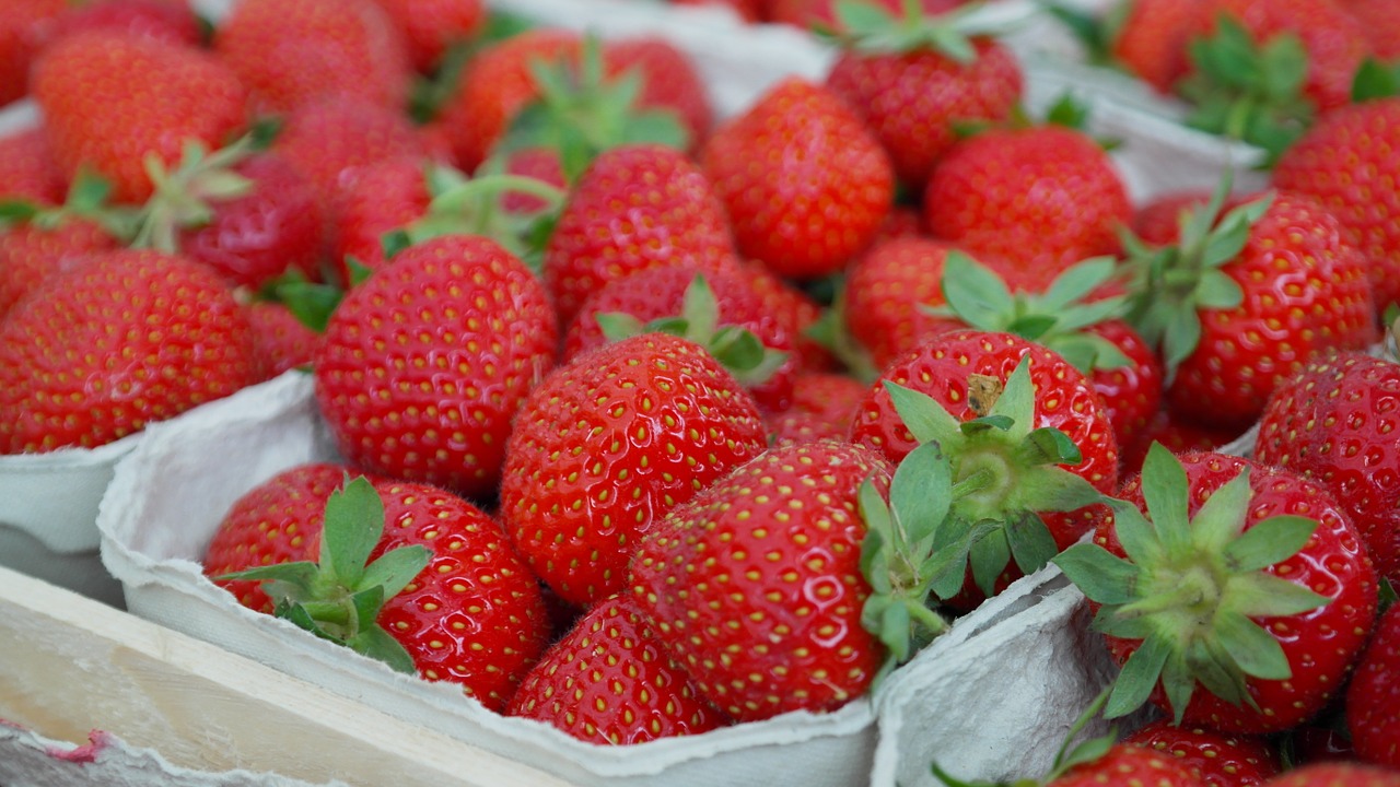 strawberries berries fruit free photo