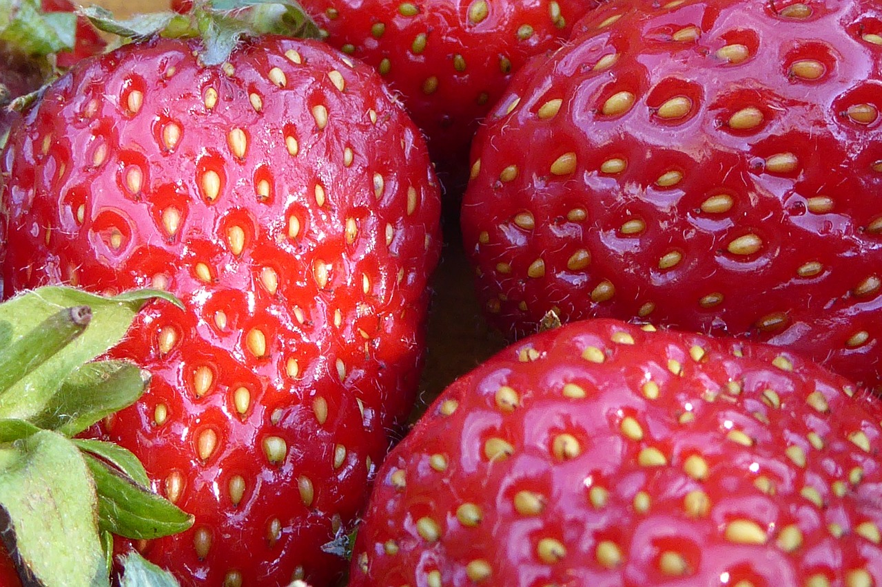 strawberries fruits red free photo