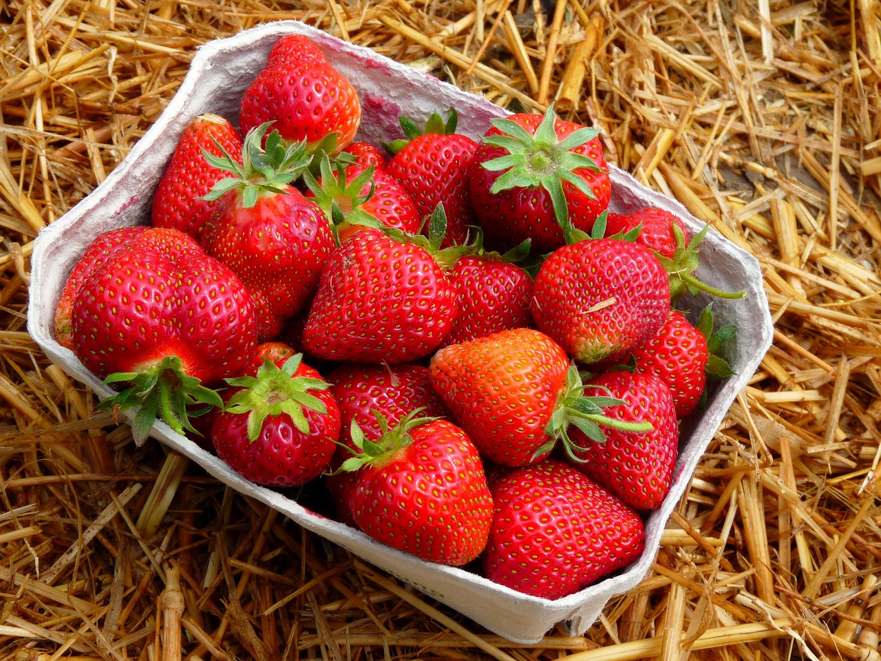 strawberries fruit red free photo