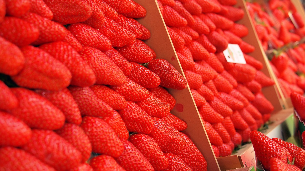 strawberries market open market free photo