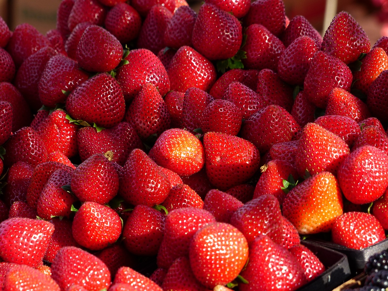 strawberries fruit red free photo