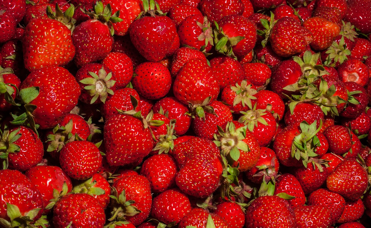 strawberries fruits sweet free photo