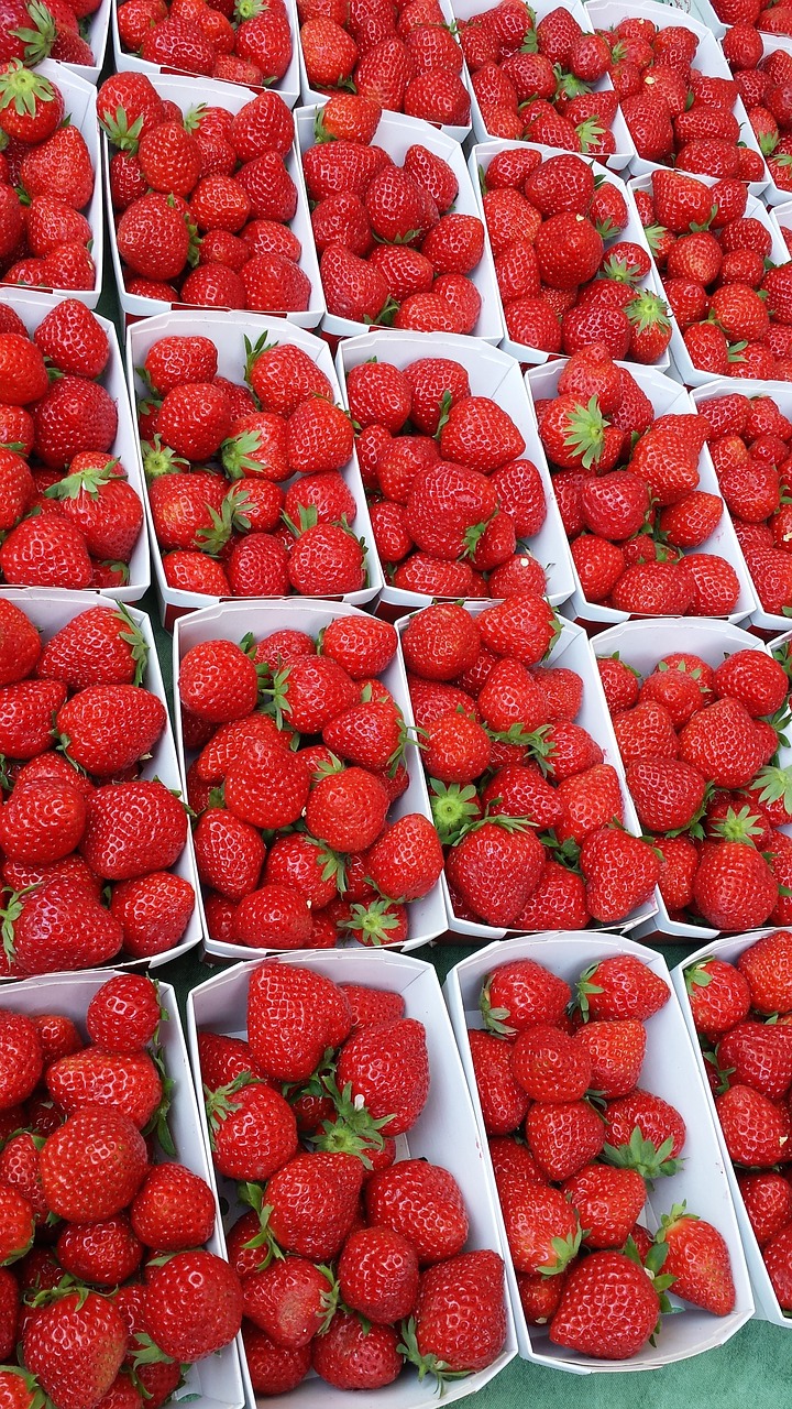 strawberries market fruit free photo