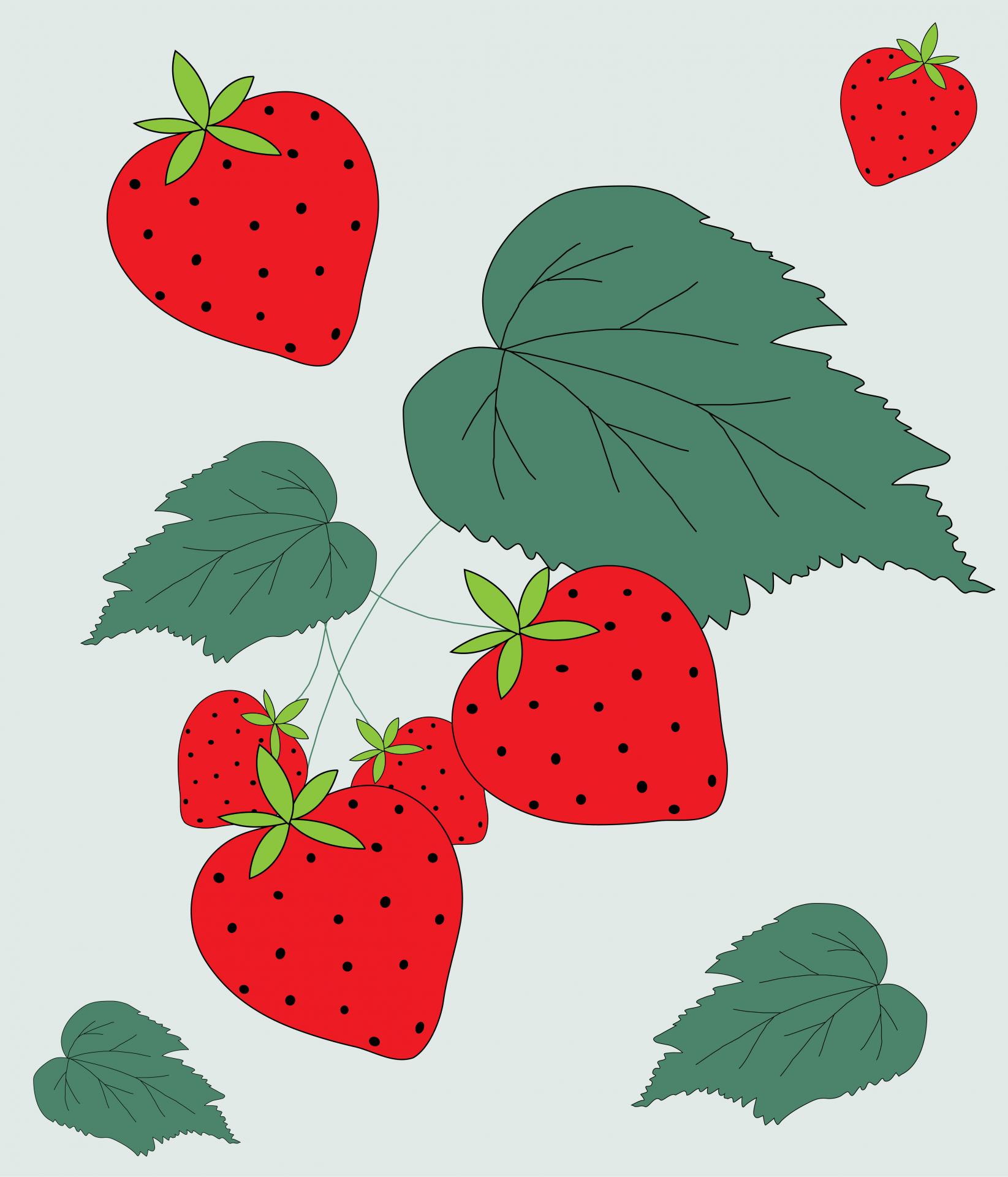 strawberry strawberries leaf free photo