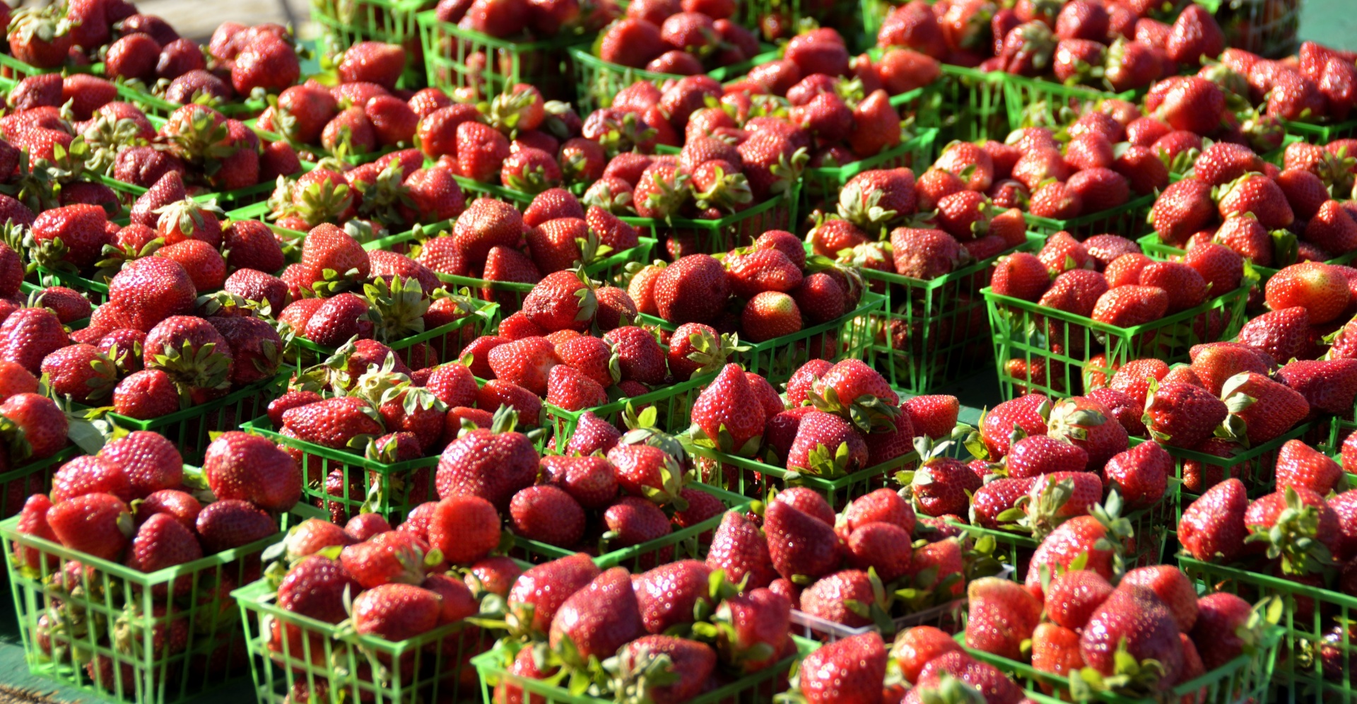 market farm shop free photo