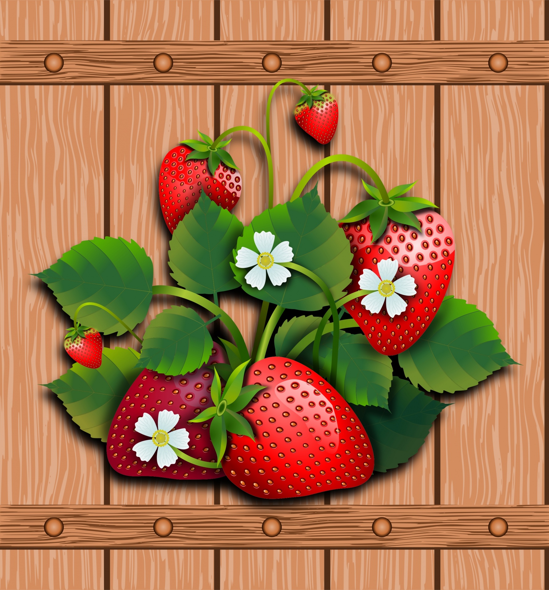 strawberries fruit fruits free photo