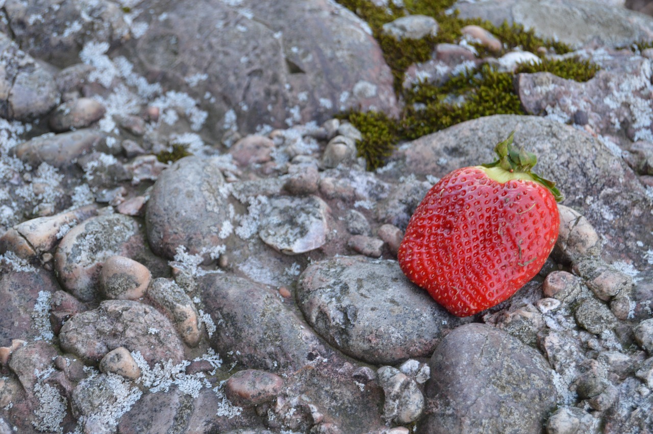 strawberry mountain contrast free photo