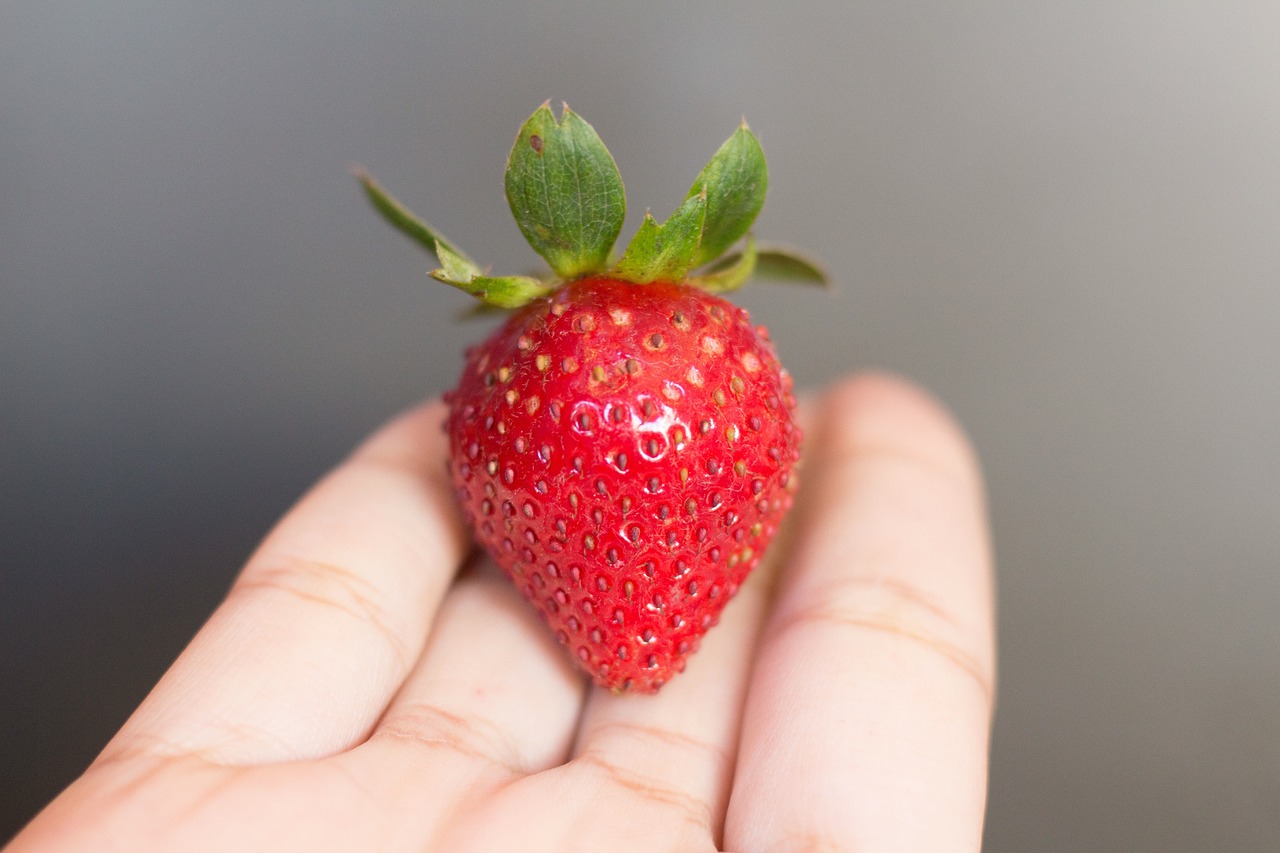 strawberry hand fruit free photo