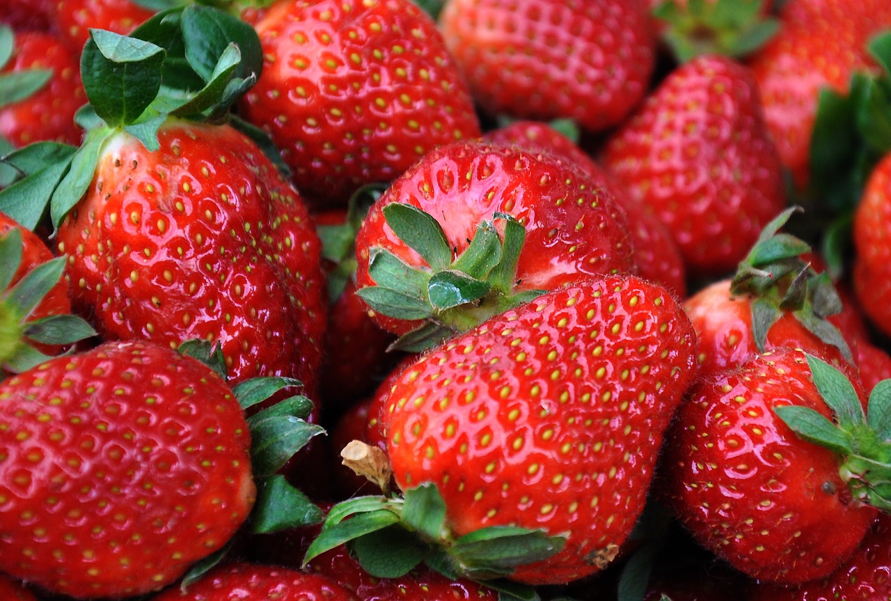 strawberry fruit red free photo