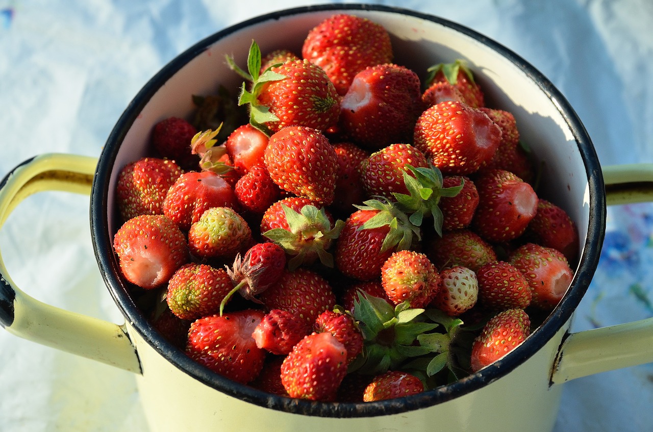 strawberry berry summer free photo