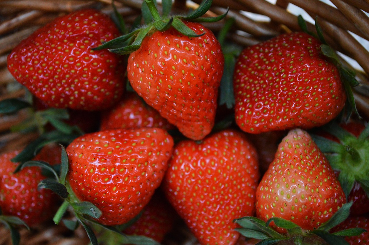 strawberry fruit spring free photo
