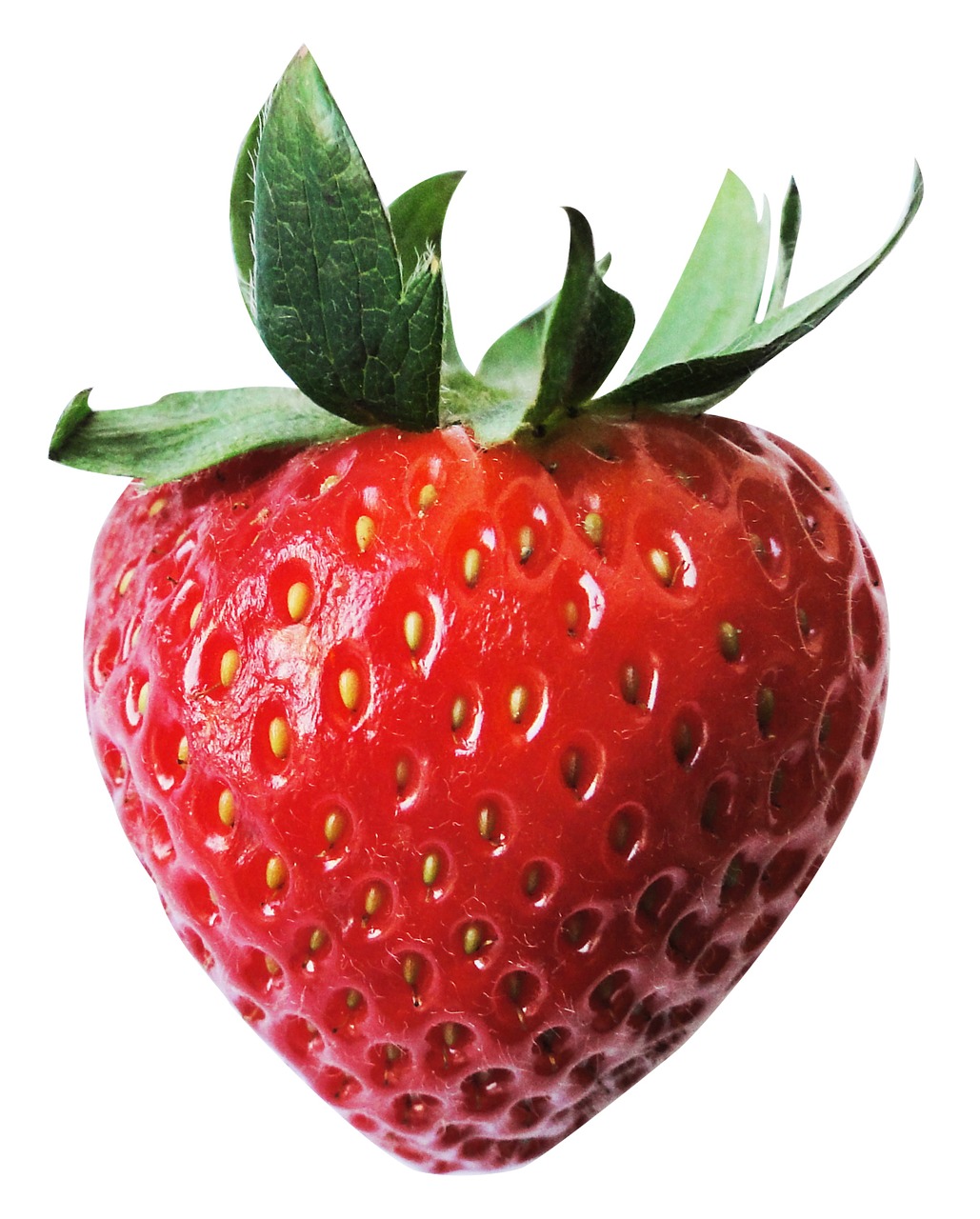 strawberry fruit red free photo