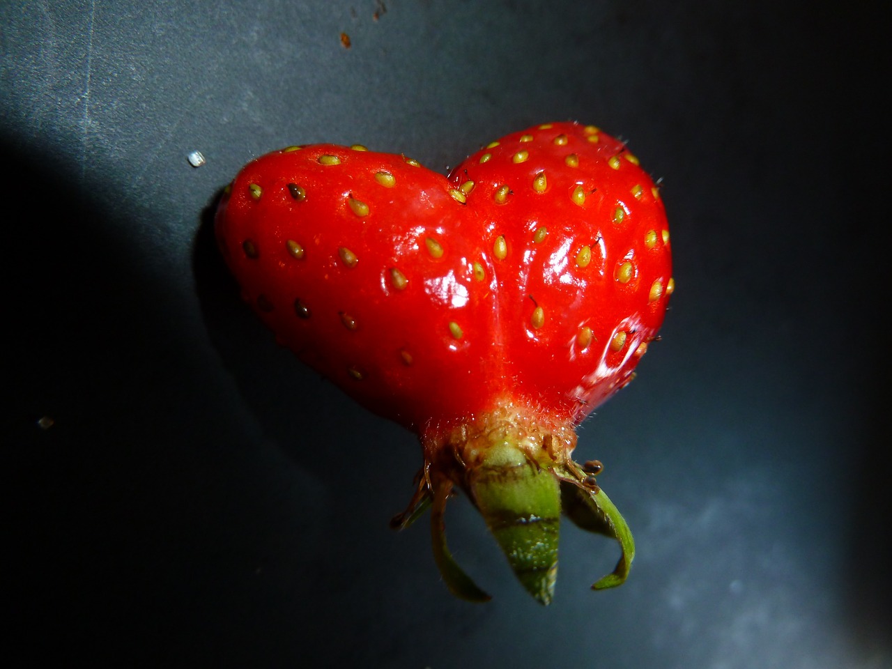 strawberry heart love free photo
