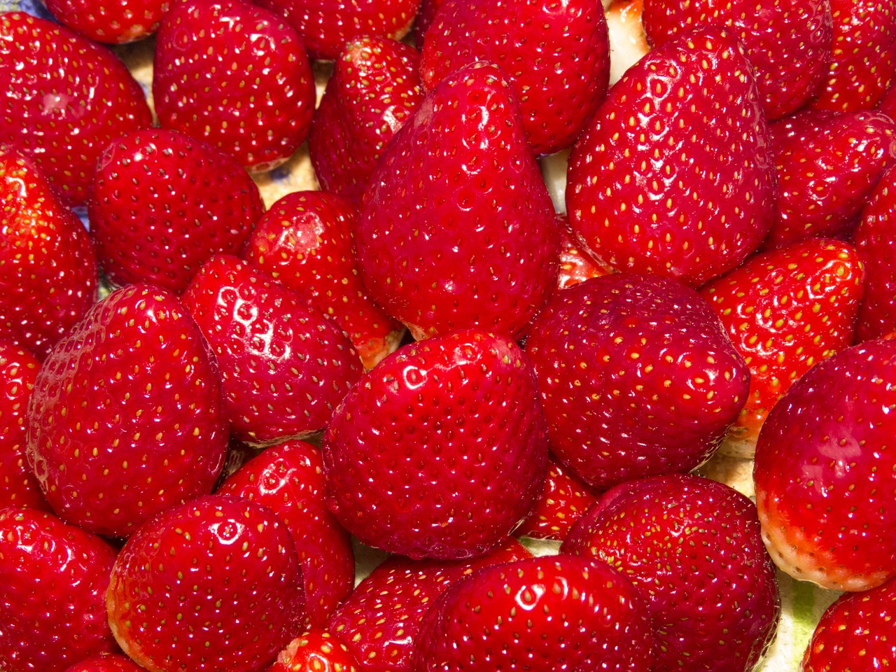 strawberry fruit macro free photo